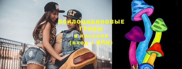 шишки Алзамай