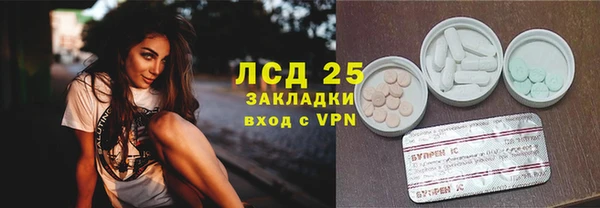 стафф Алексин