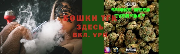 шишки Алзамай