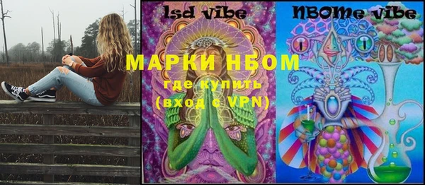 шишки Алзамай