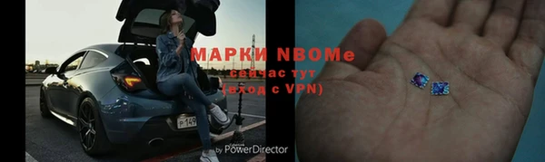 шишки Алзамай