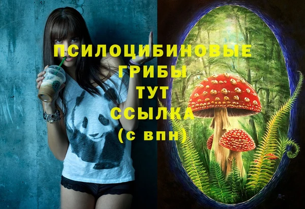 соль ск Рославль